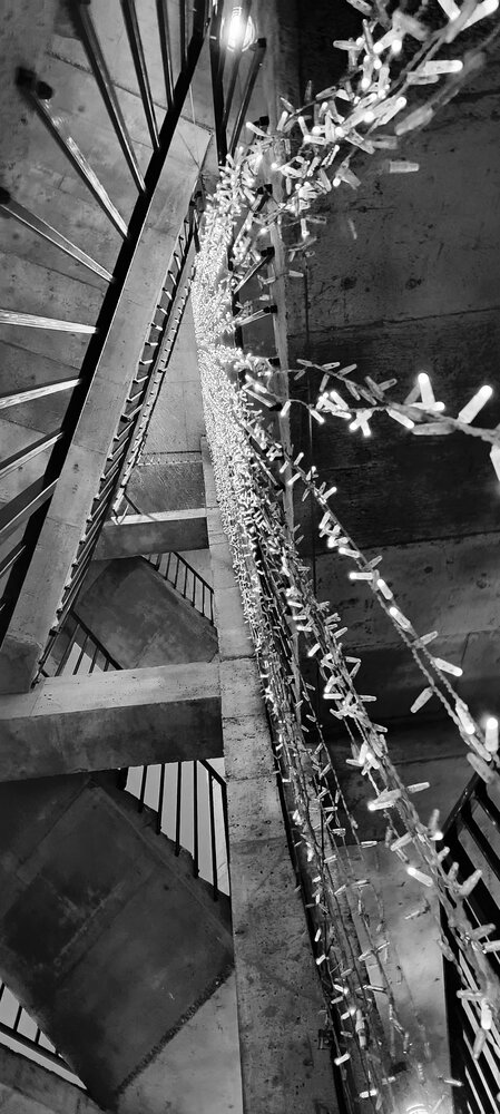 Photo #14080231
