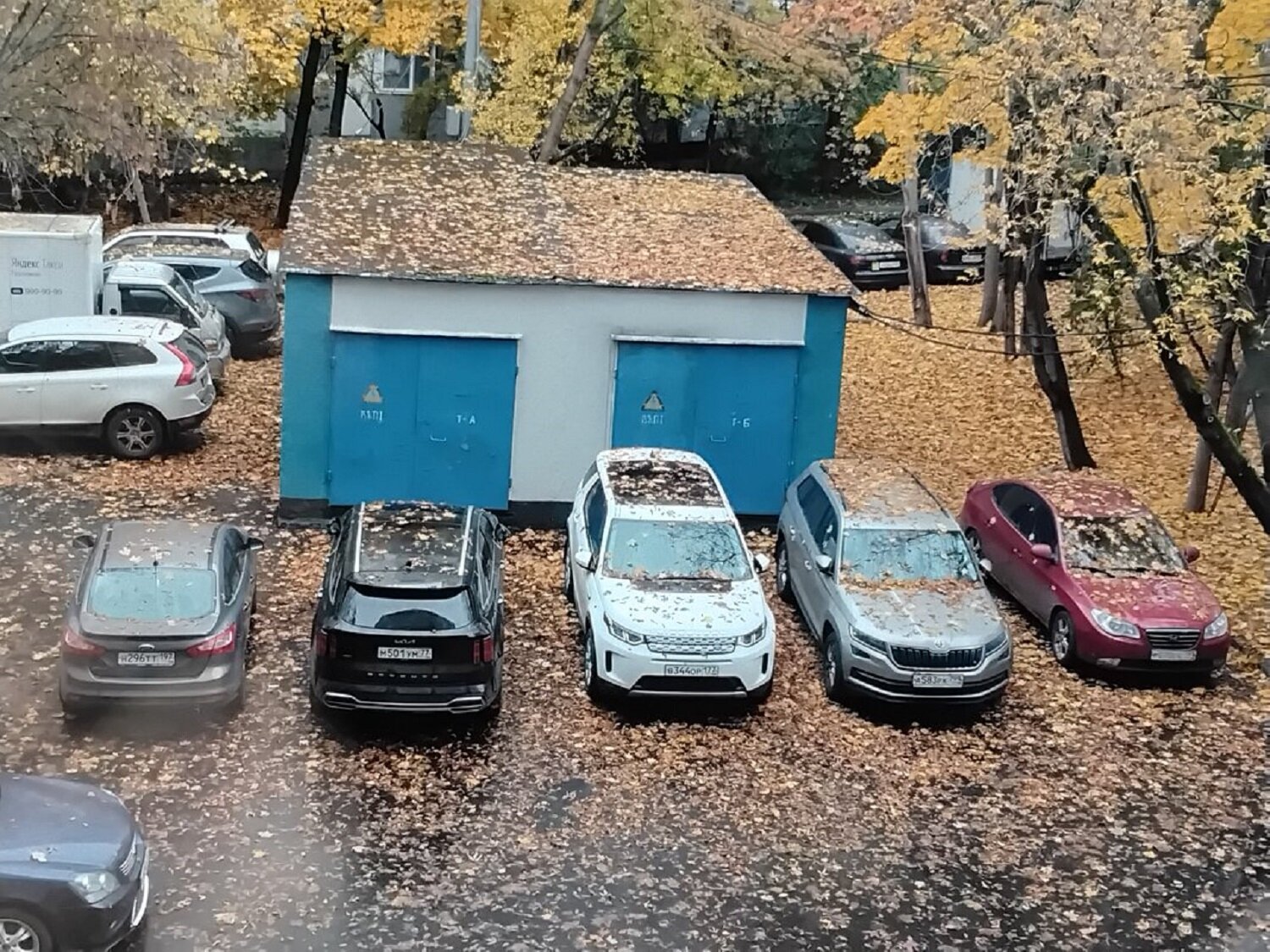 Осеннее утро