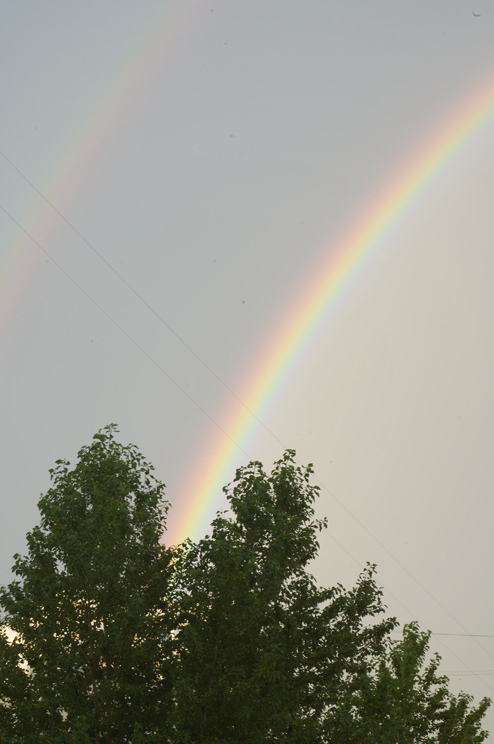 Photo #14080404
