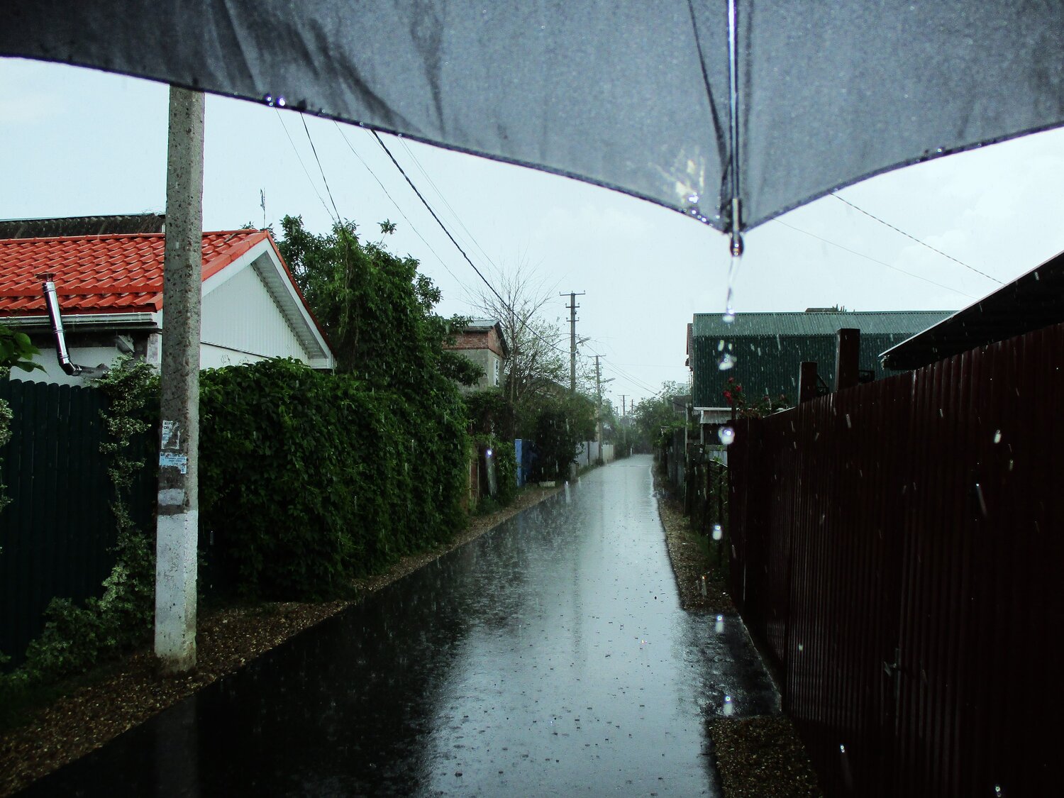 Photo #14080497