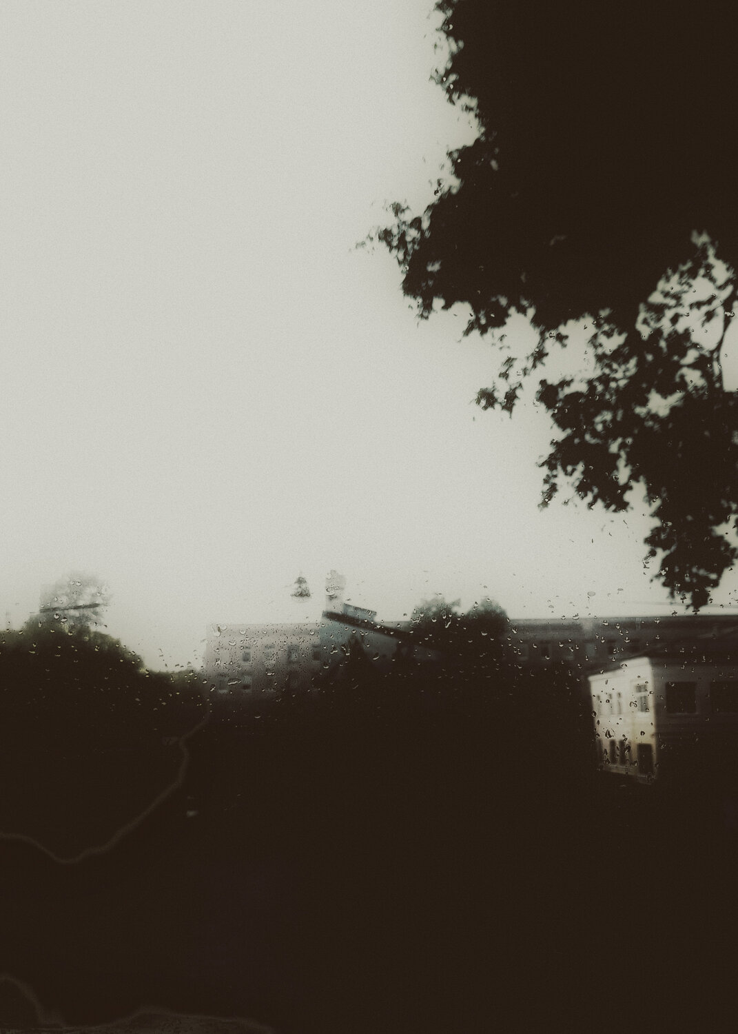 Photo #14080534