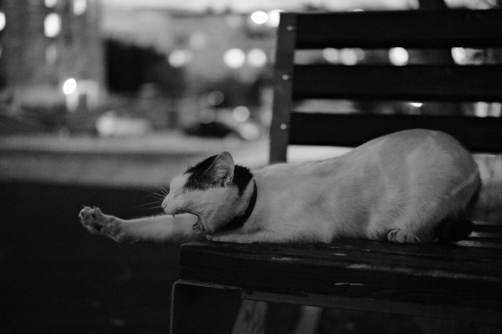 Photograph by Sergey Boiko