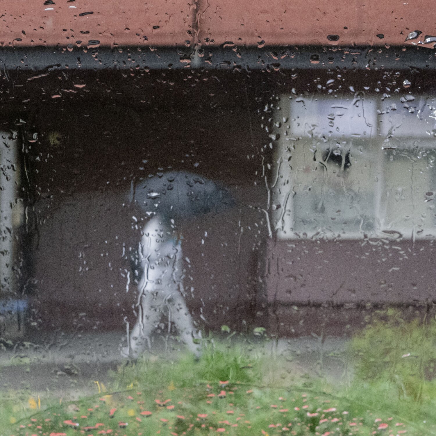 Photo #14080546