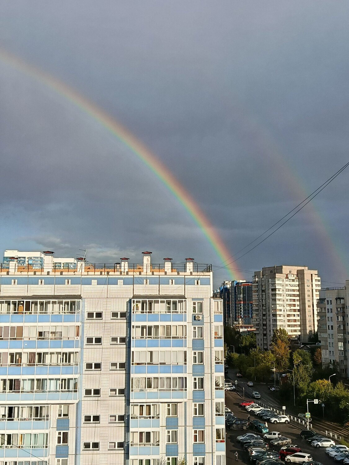 Photo #14080584