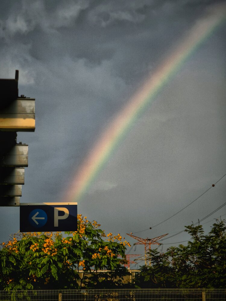Photograph by Siew Chee chung