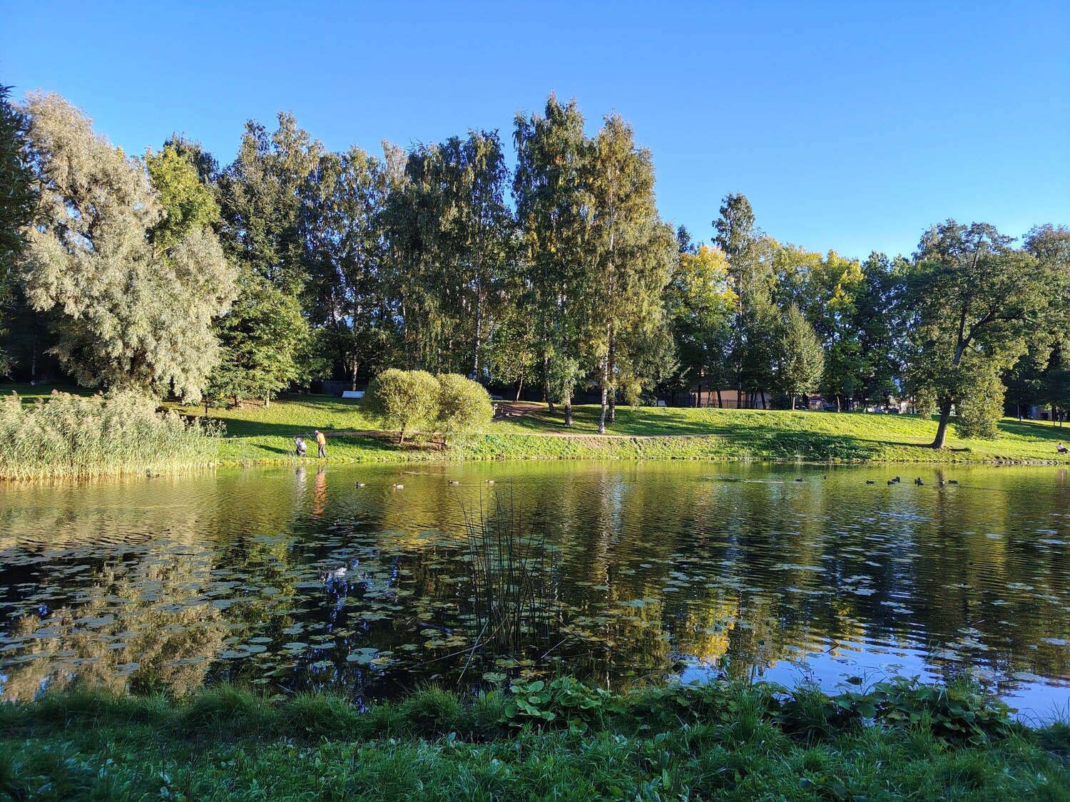 Photo #14080817