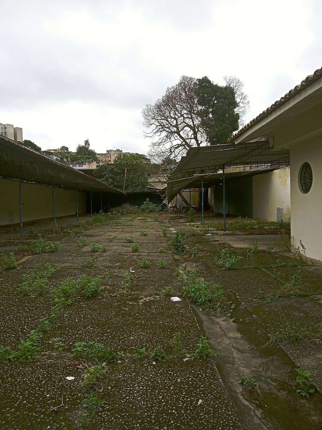 Photo #14080844