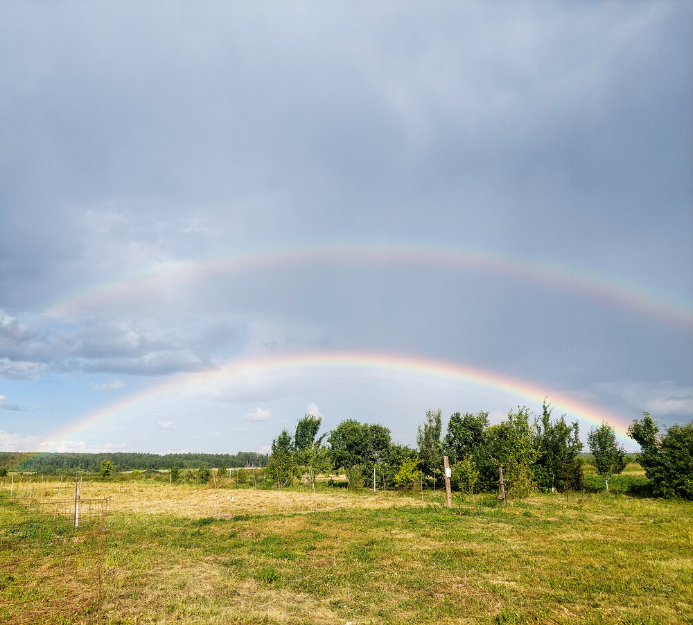 Photograph by Екатерина Баклыкова