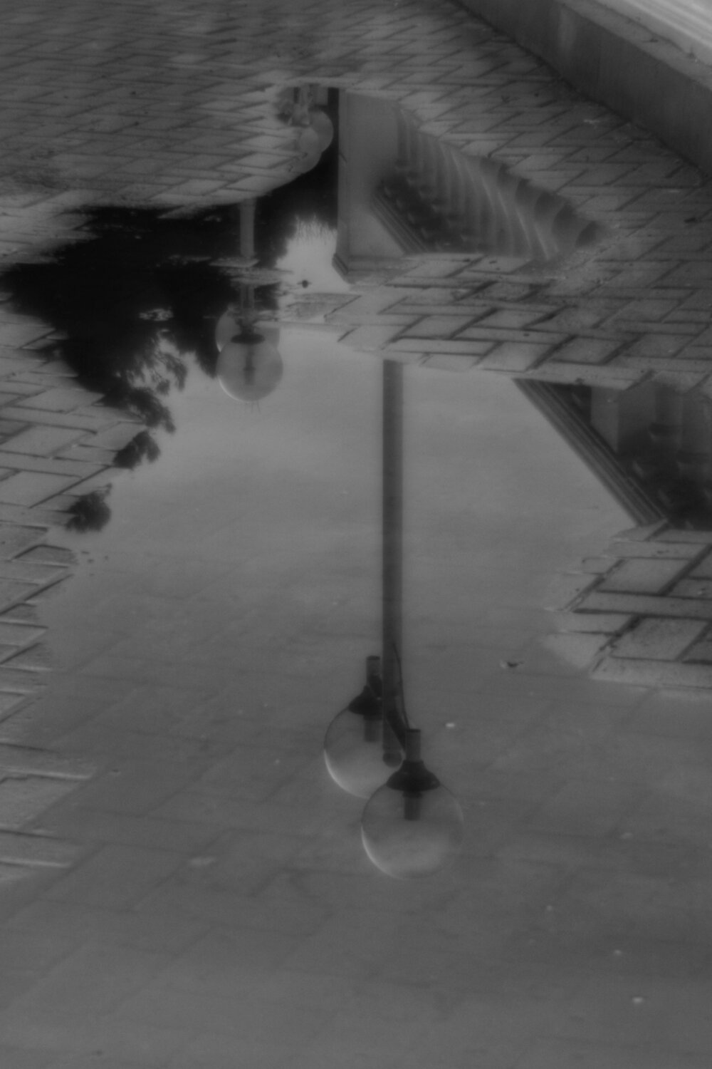 Photo #14080883