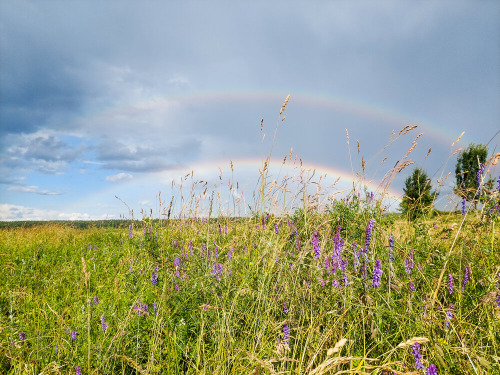Photograph by Екатерина Баклыкова