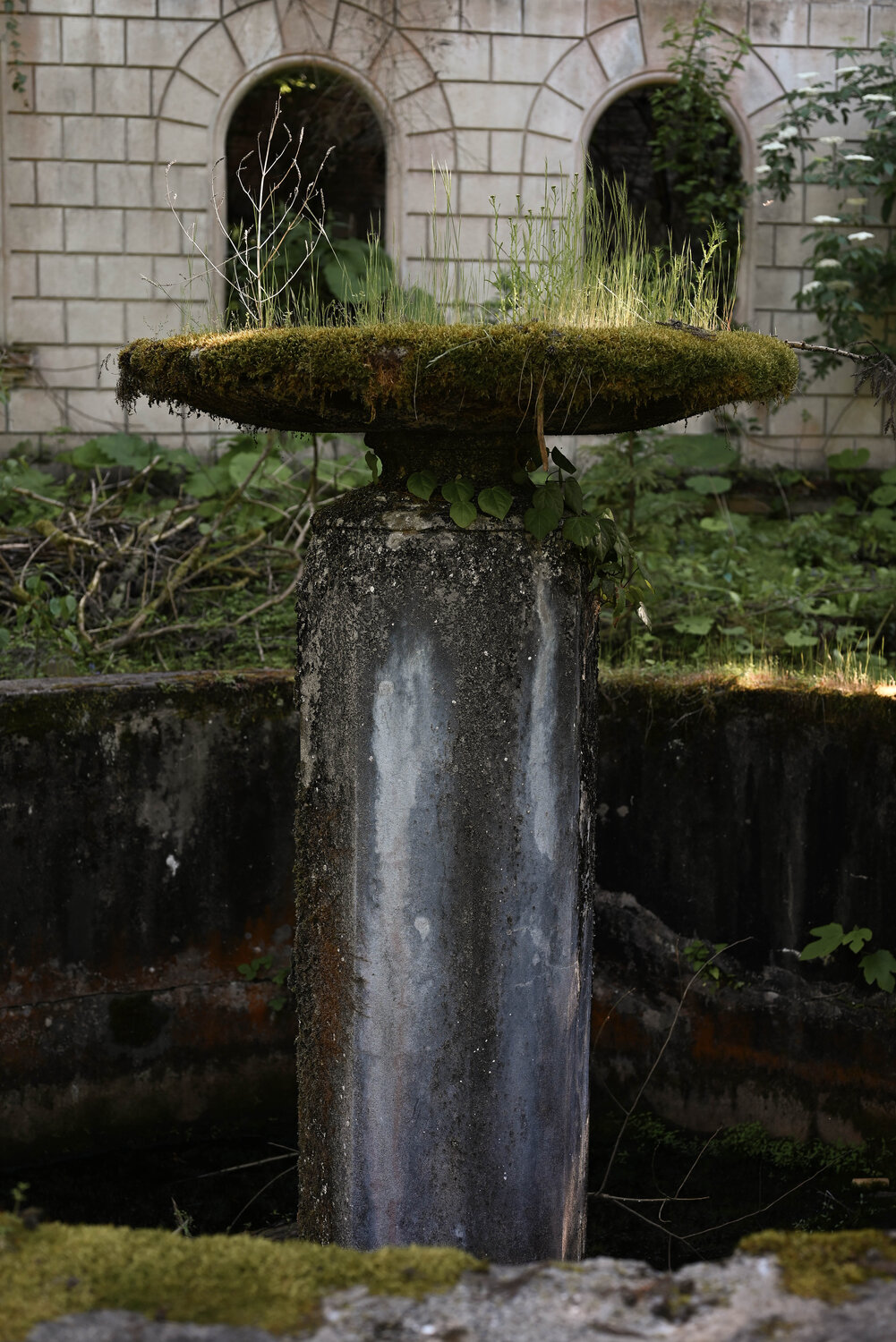 Photo #14081075