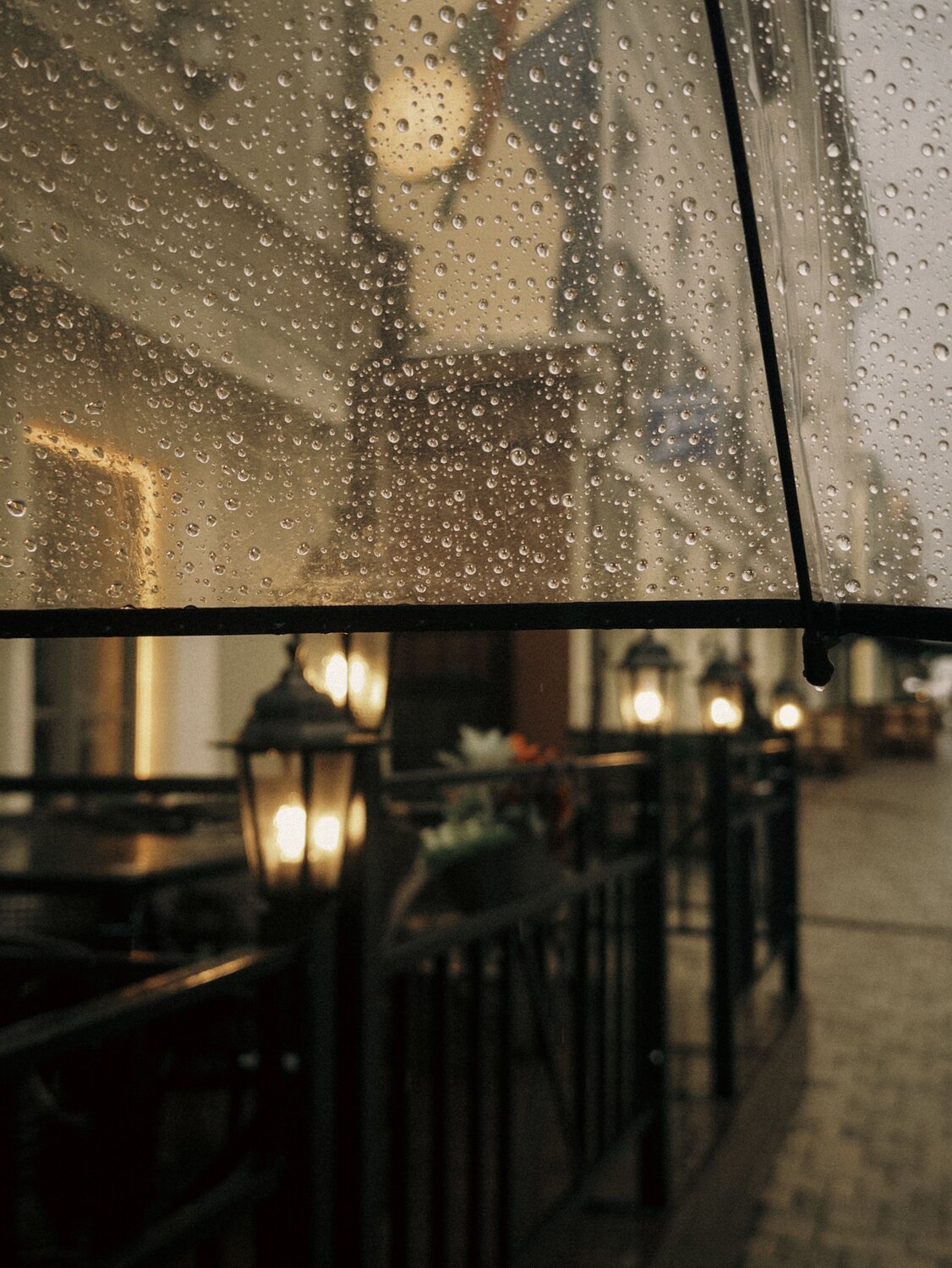 Photo #14081141