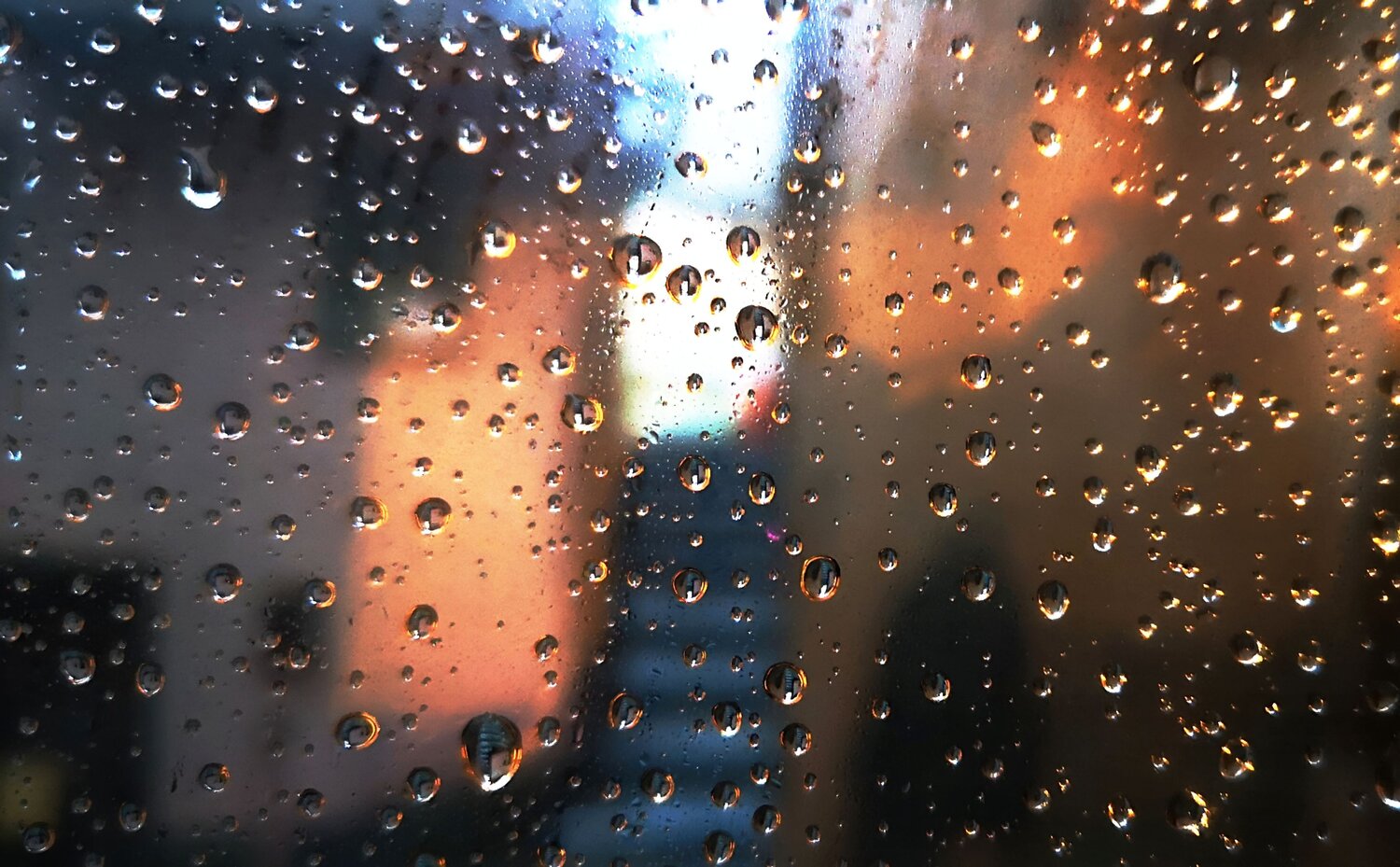 Photo #14081153