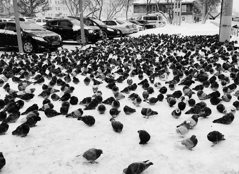 Photograph by Климов Дмитрий