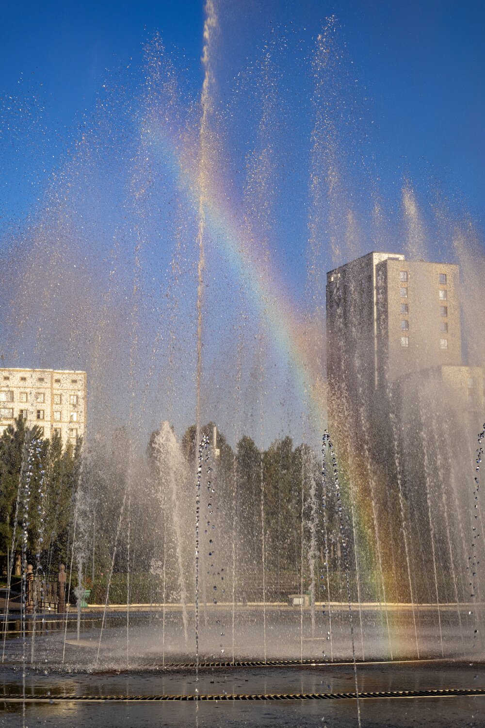 Photo #14081323