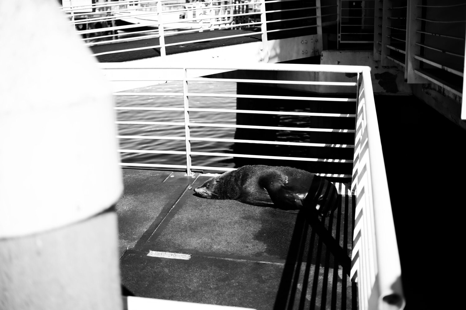 Photo #14081376