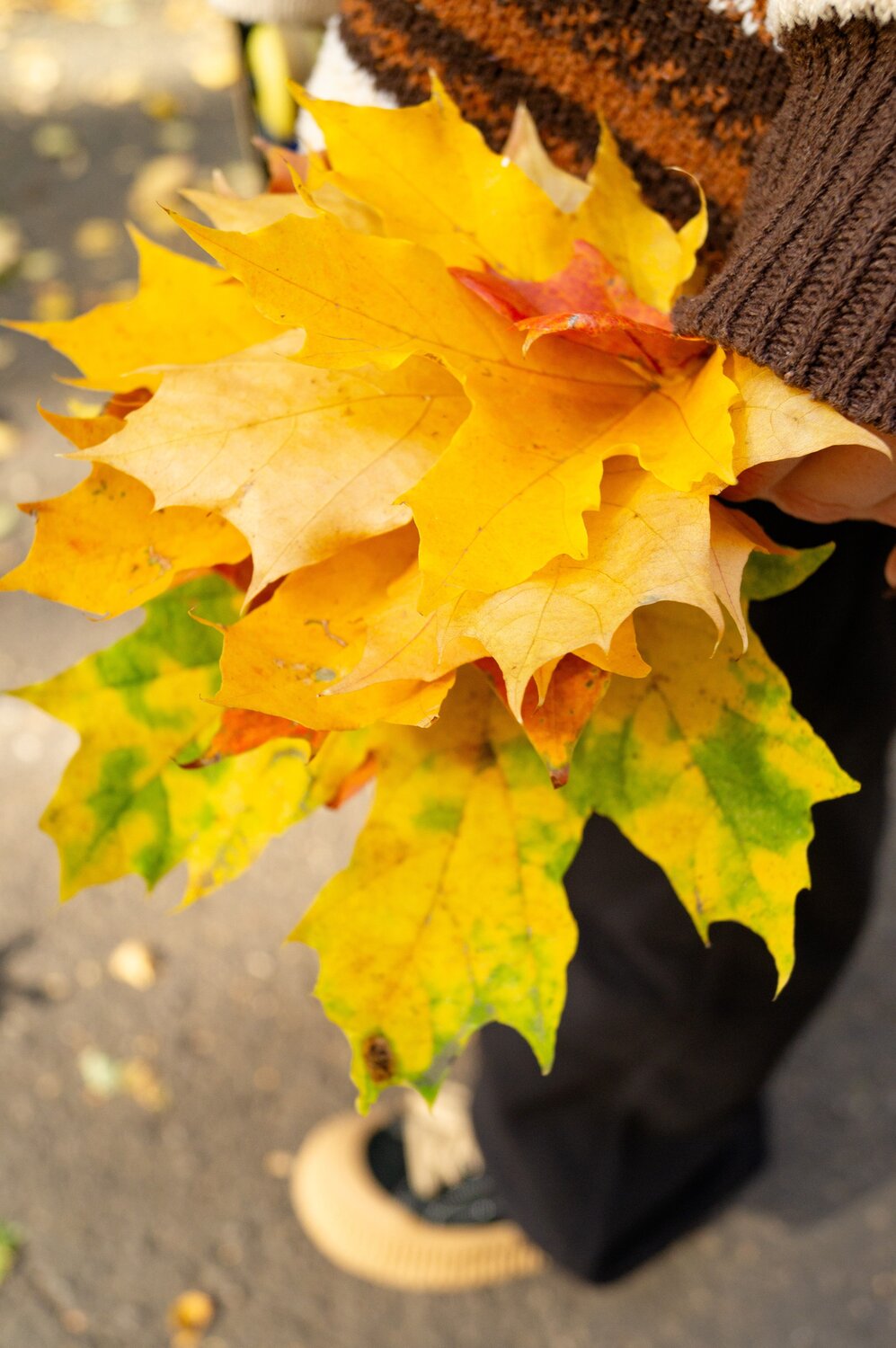 Photo #14081389