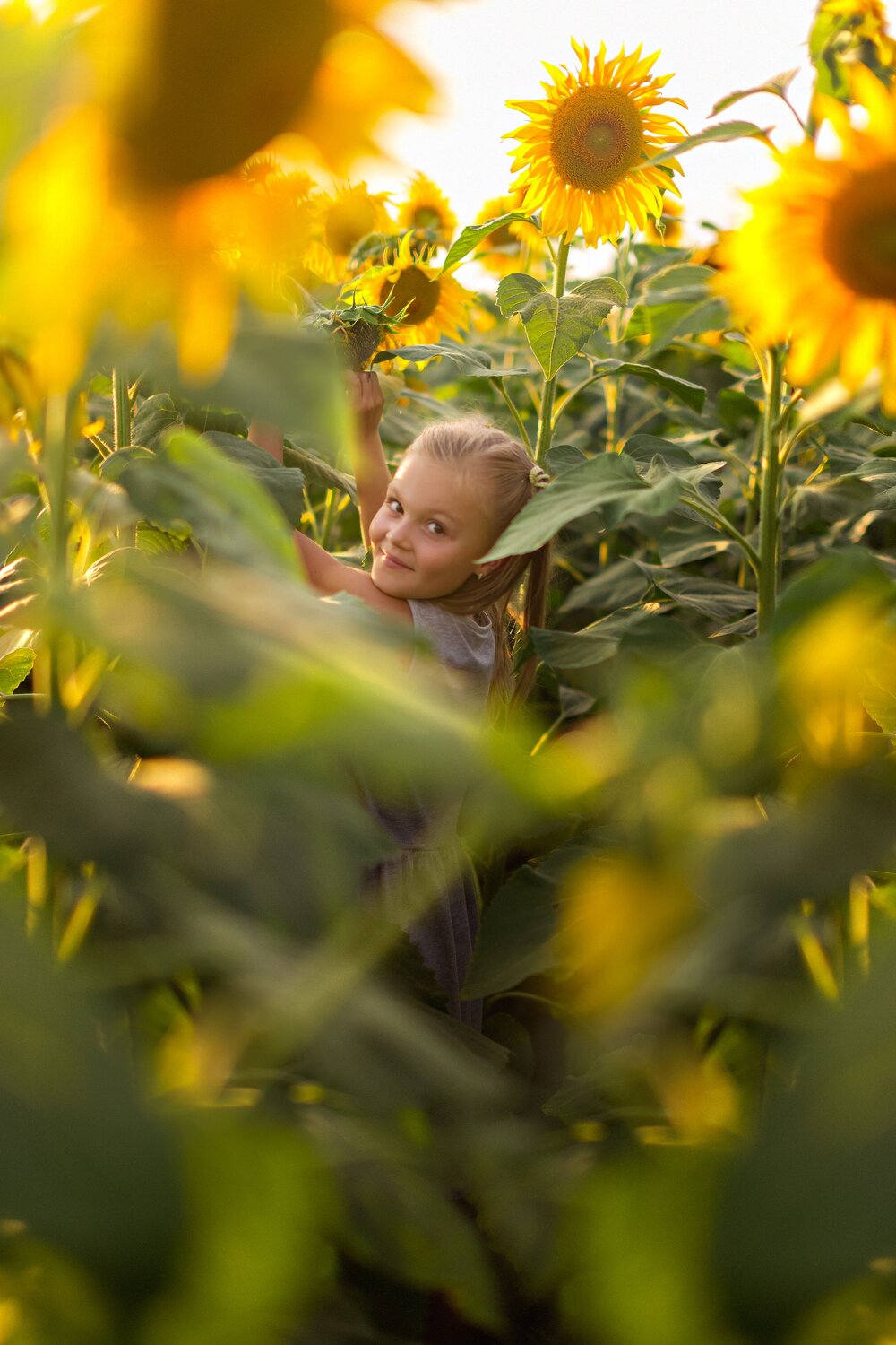 Photo #14081482
