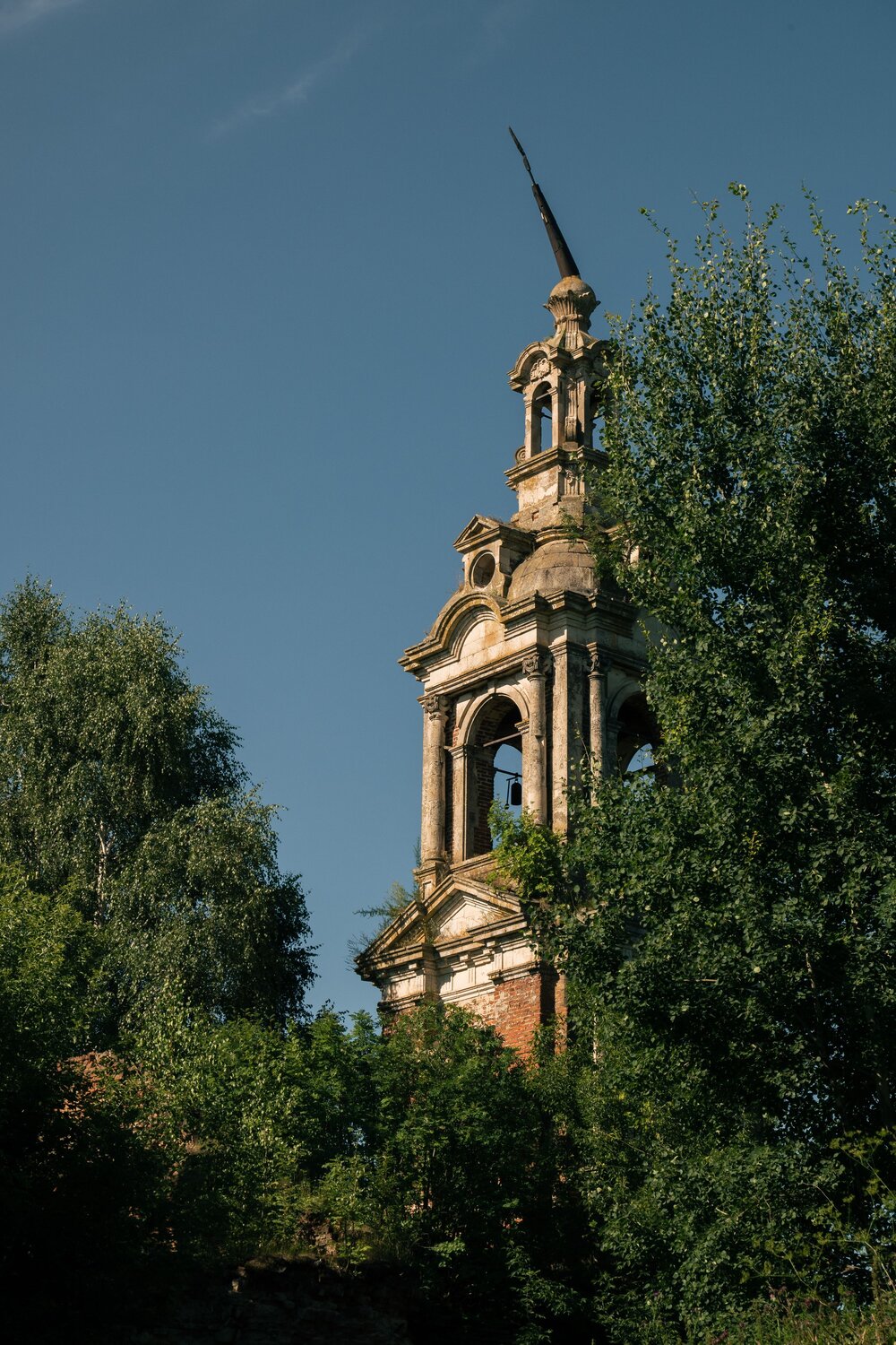 Photo #14081638