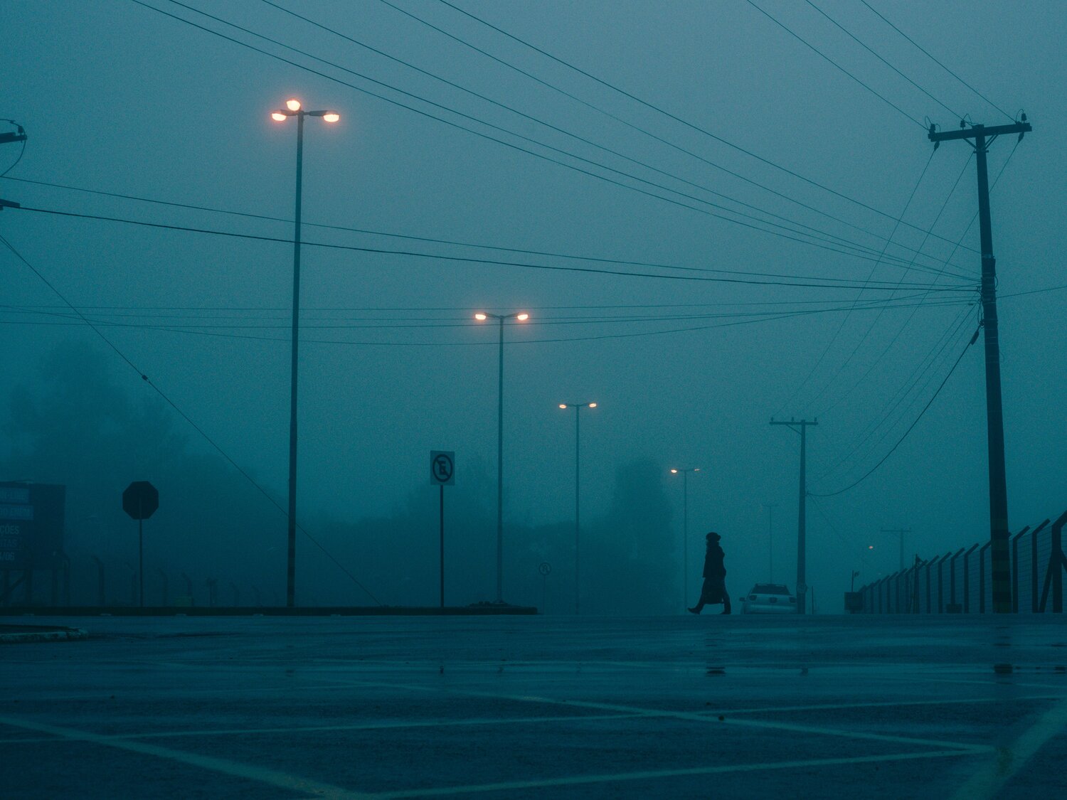 Photo #14081787