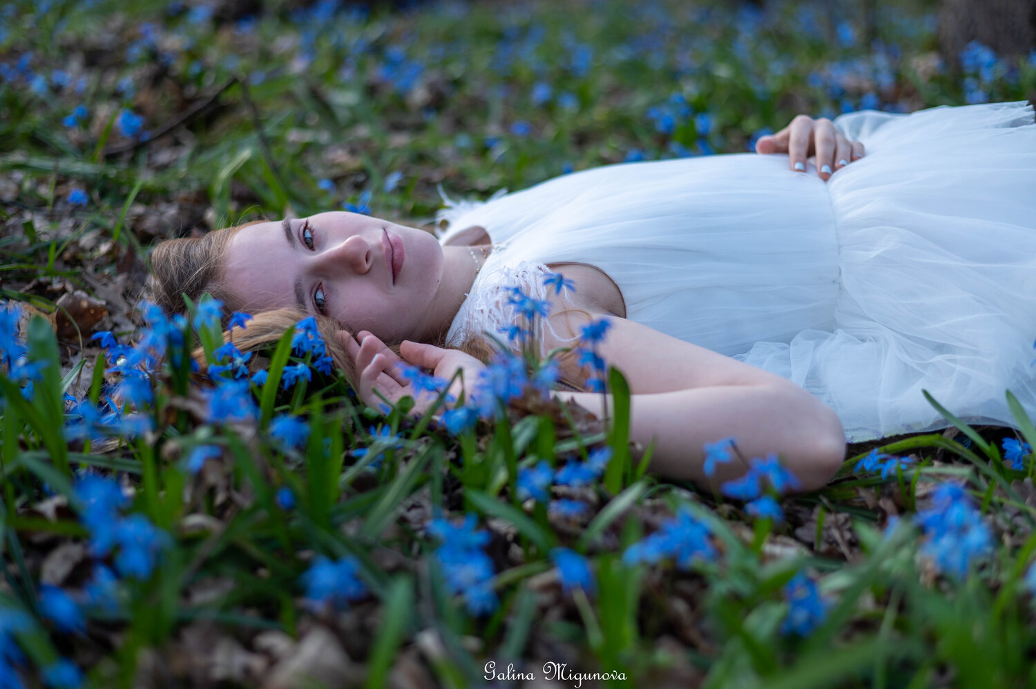 Photo #14081795