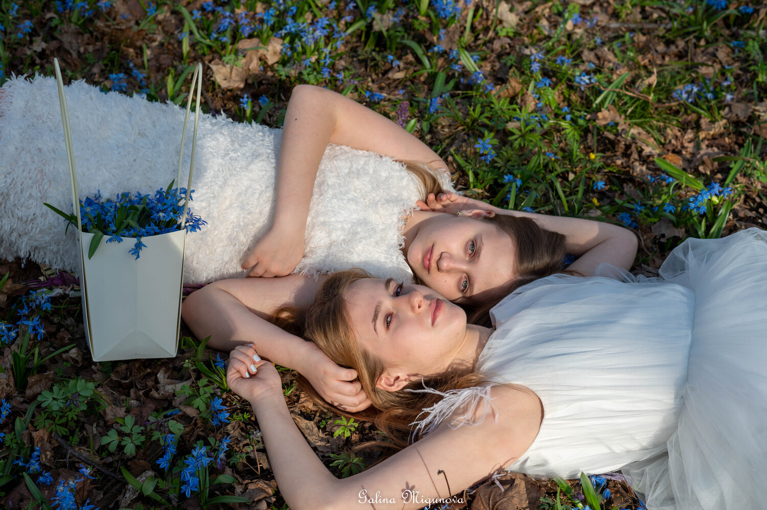 Photo #14081797