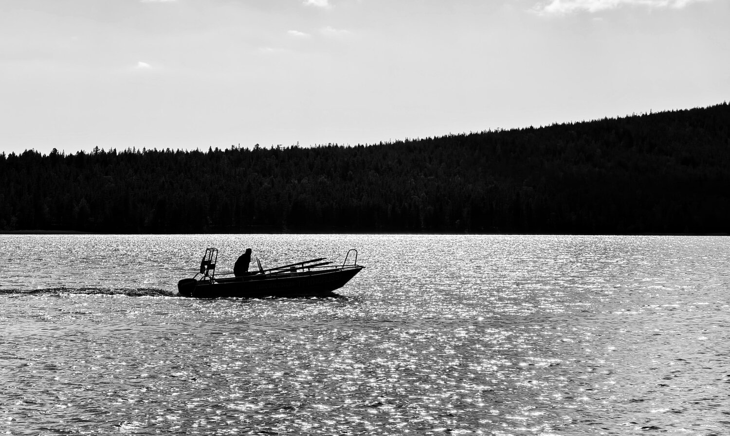 Photo #14081821
