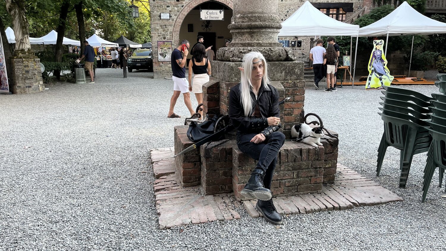 Photo #14081838
