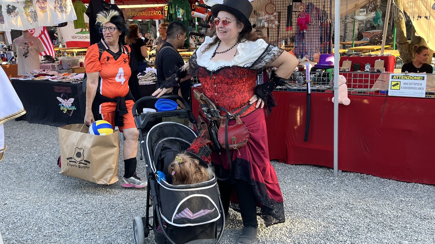 Photo #14081839