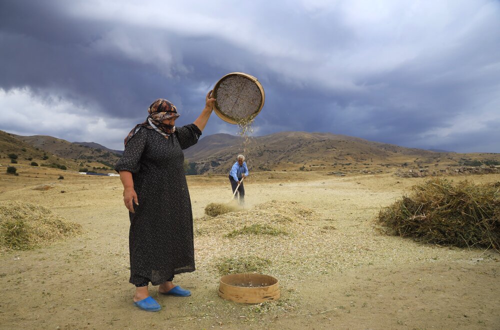 najmeh