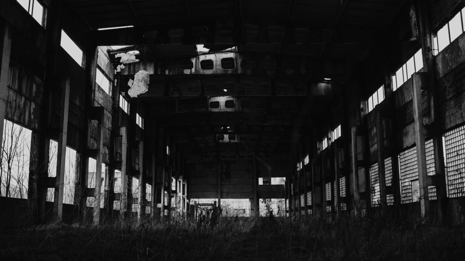 Photo #14082008