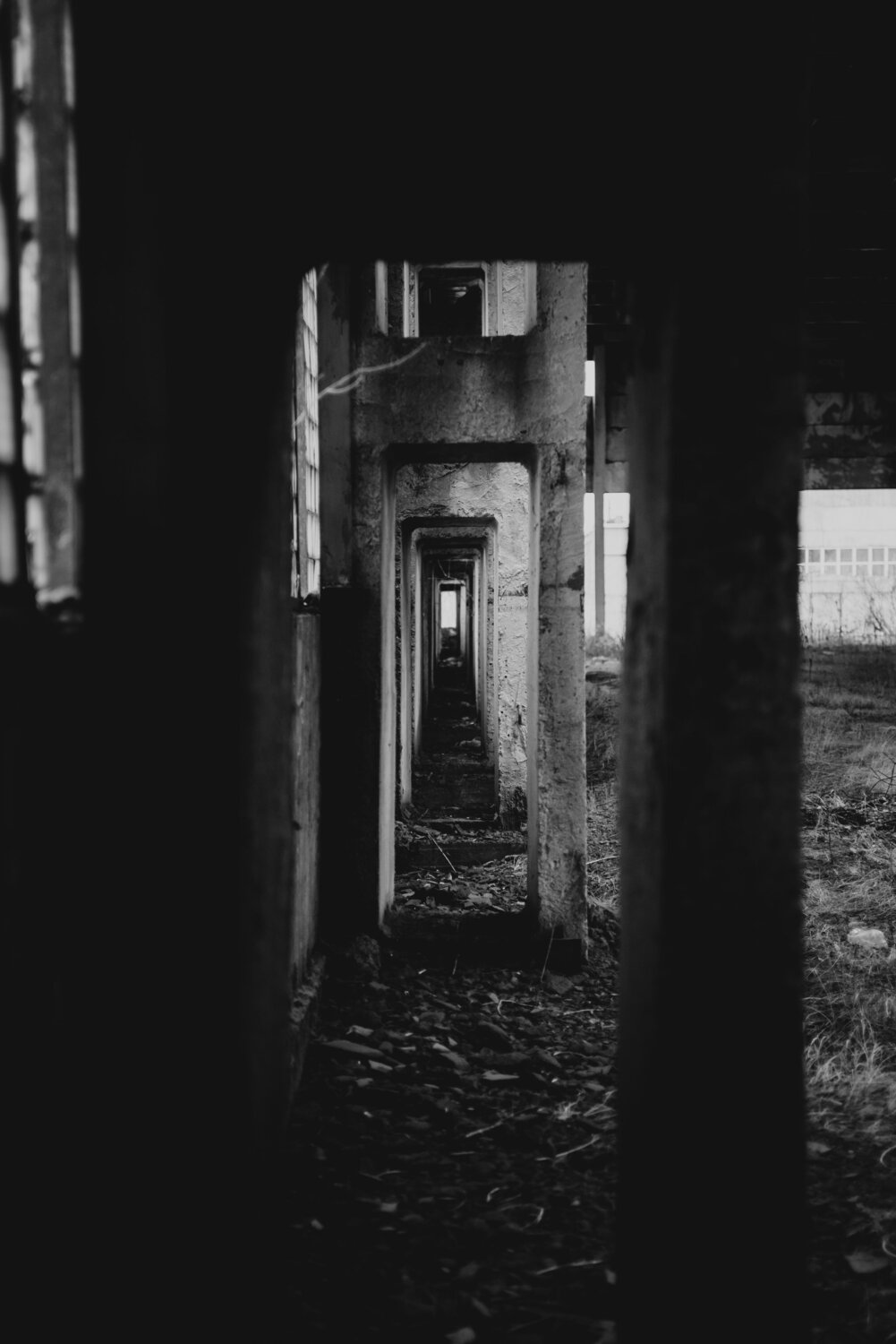 Photo #14082010