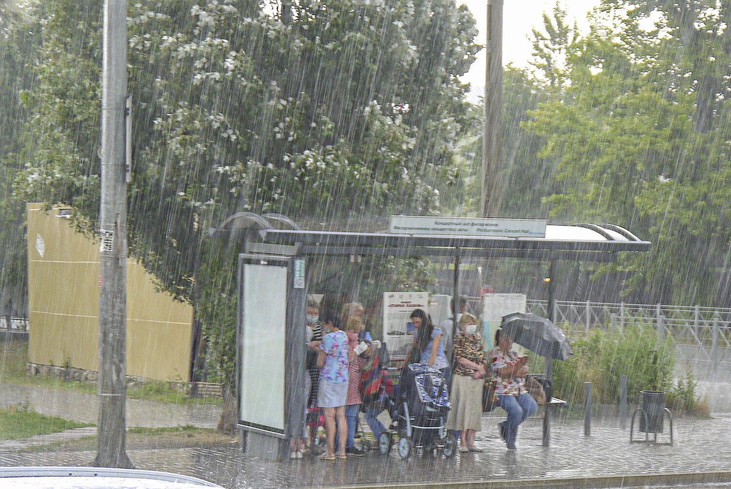 Photo #14082045