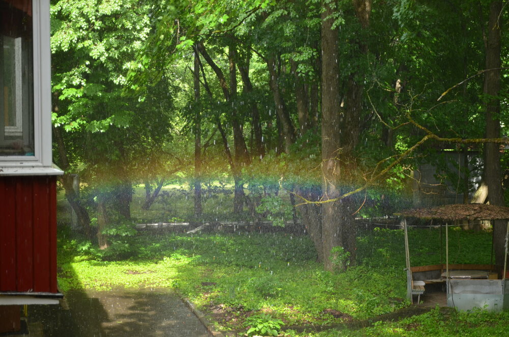 Photograph by Ольга Заповедная