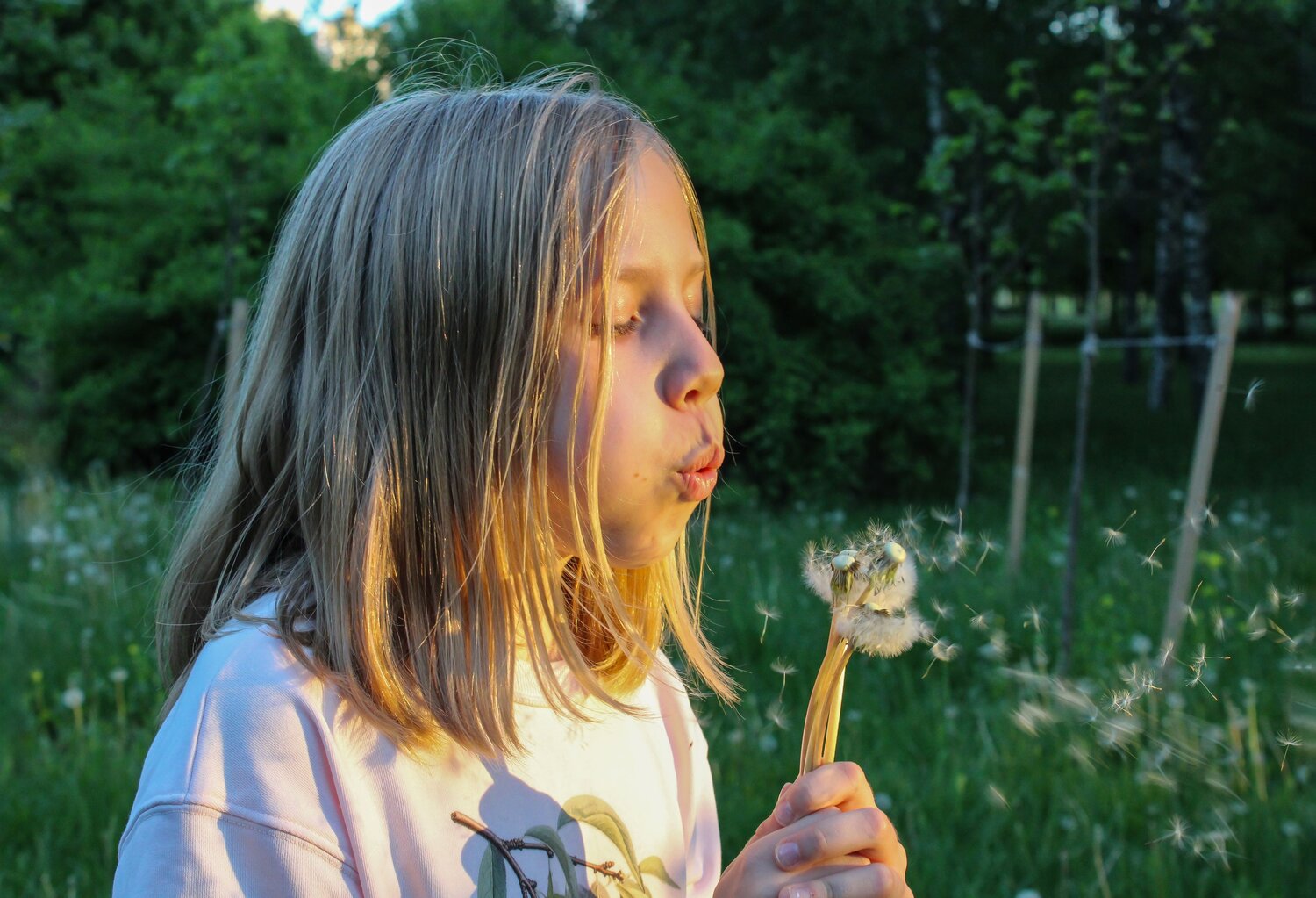Photo #14082245