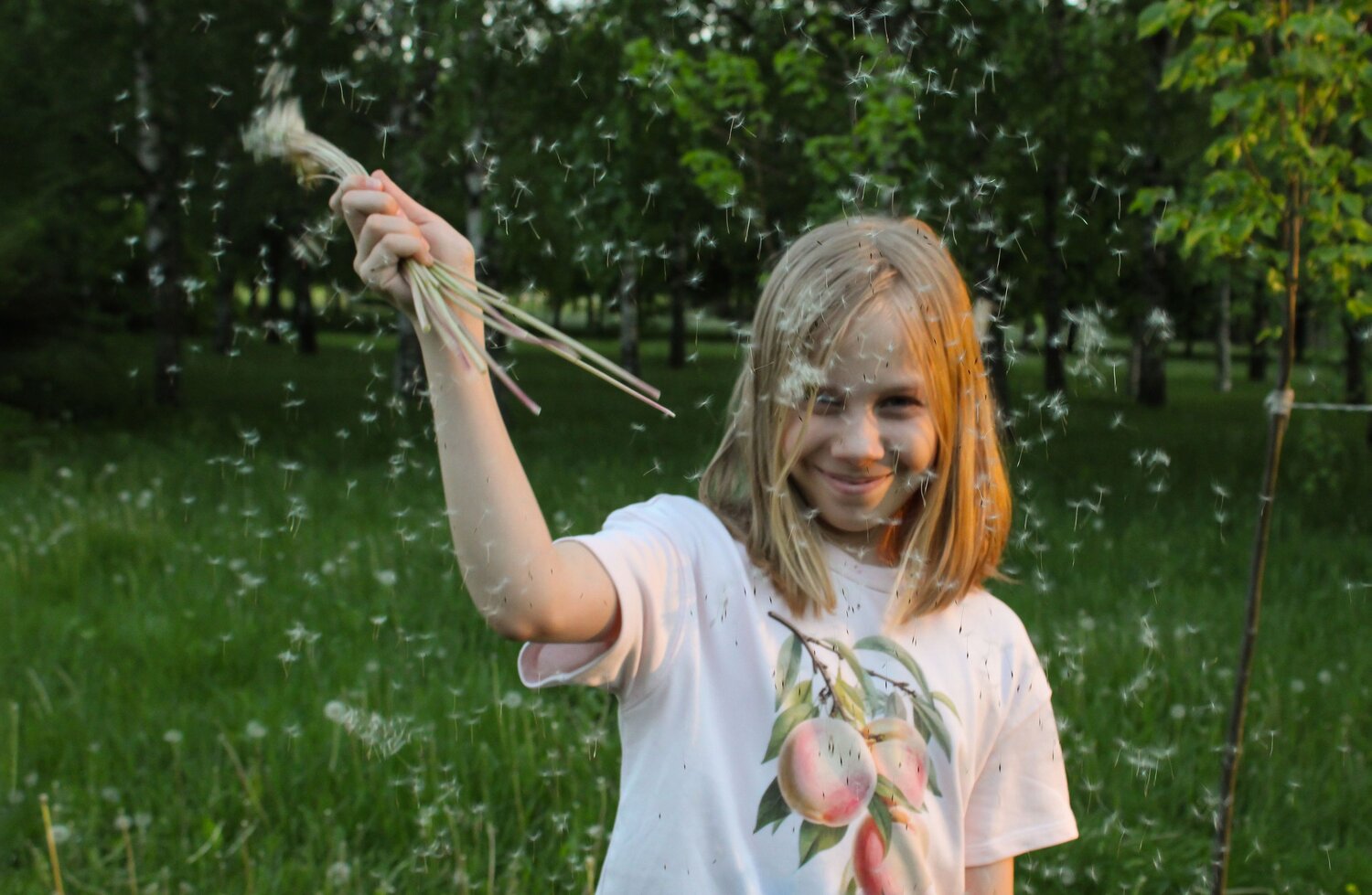 Photo #14082246