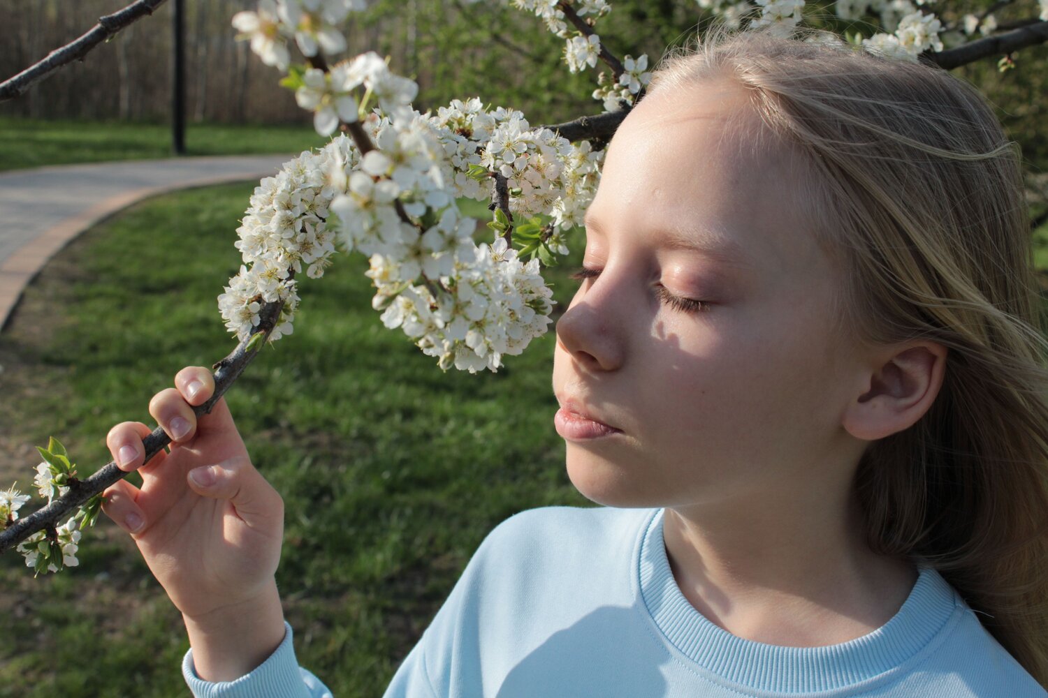 Photo #14082257