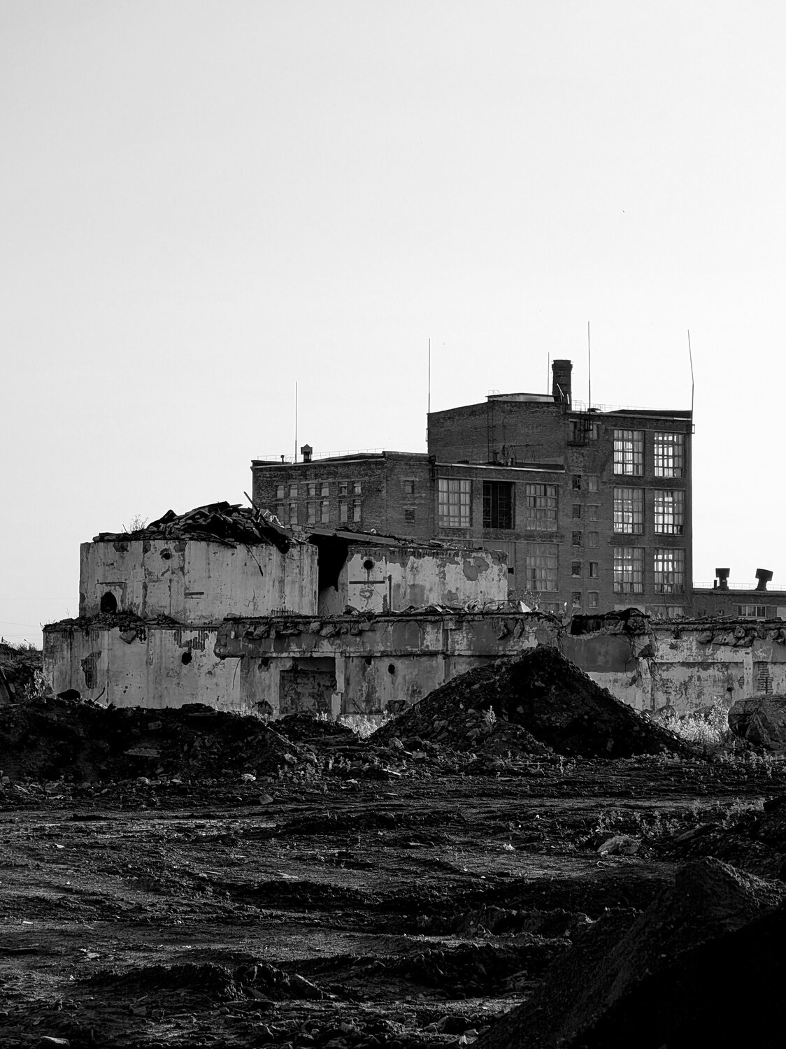 Photo #14082409