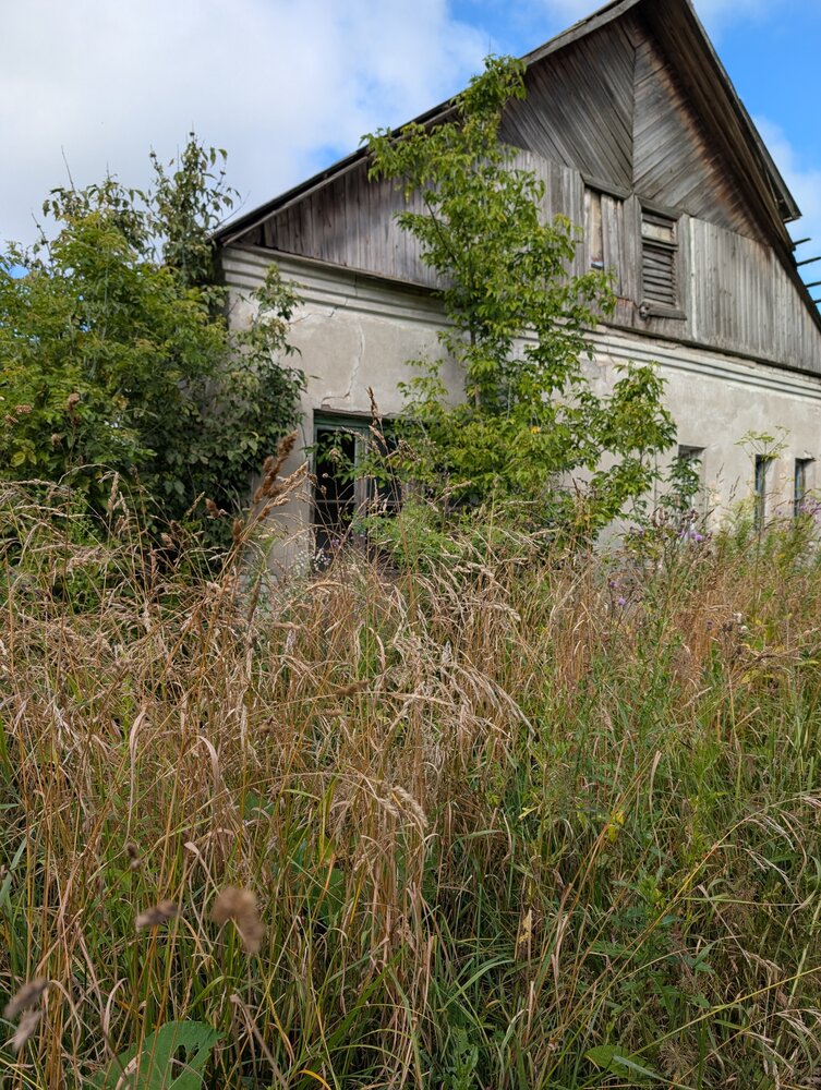 Photo #14082411
