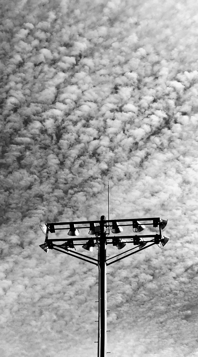 Photo #14082449
