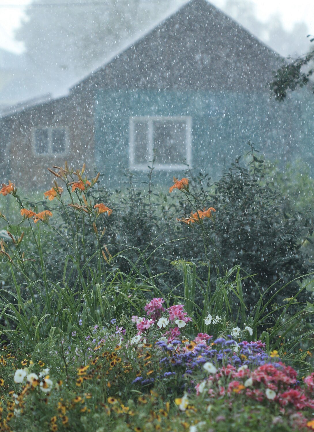 Photo #14082543