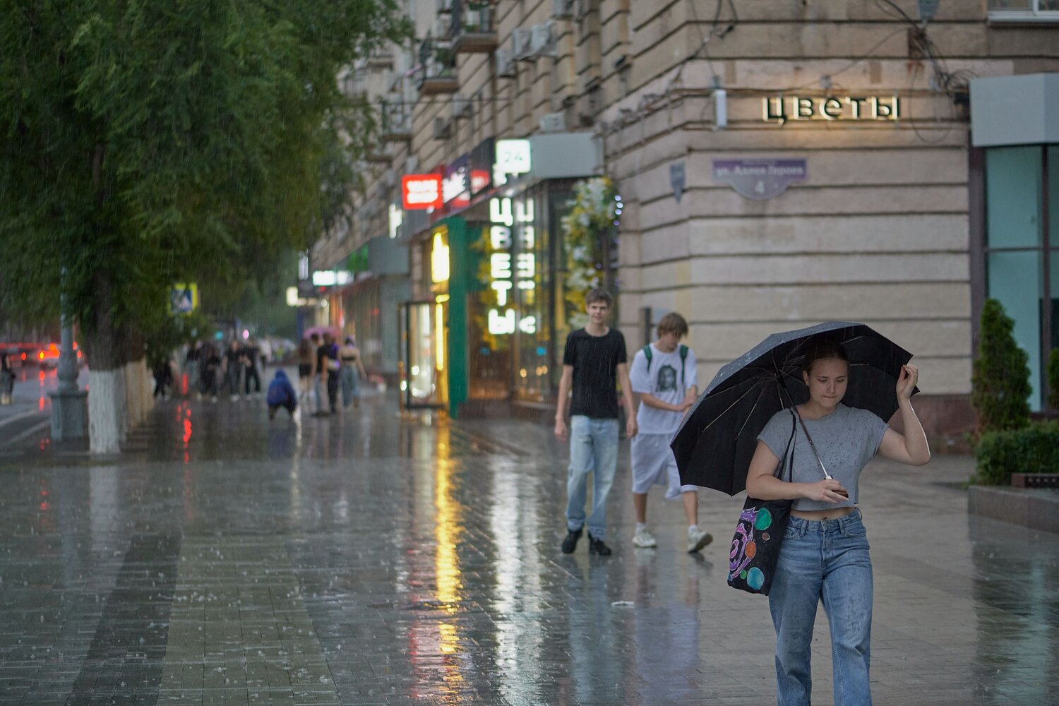Photo #14082548