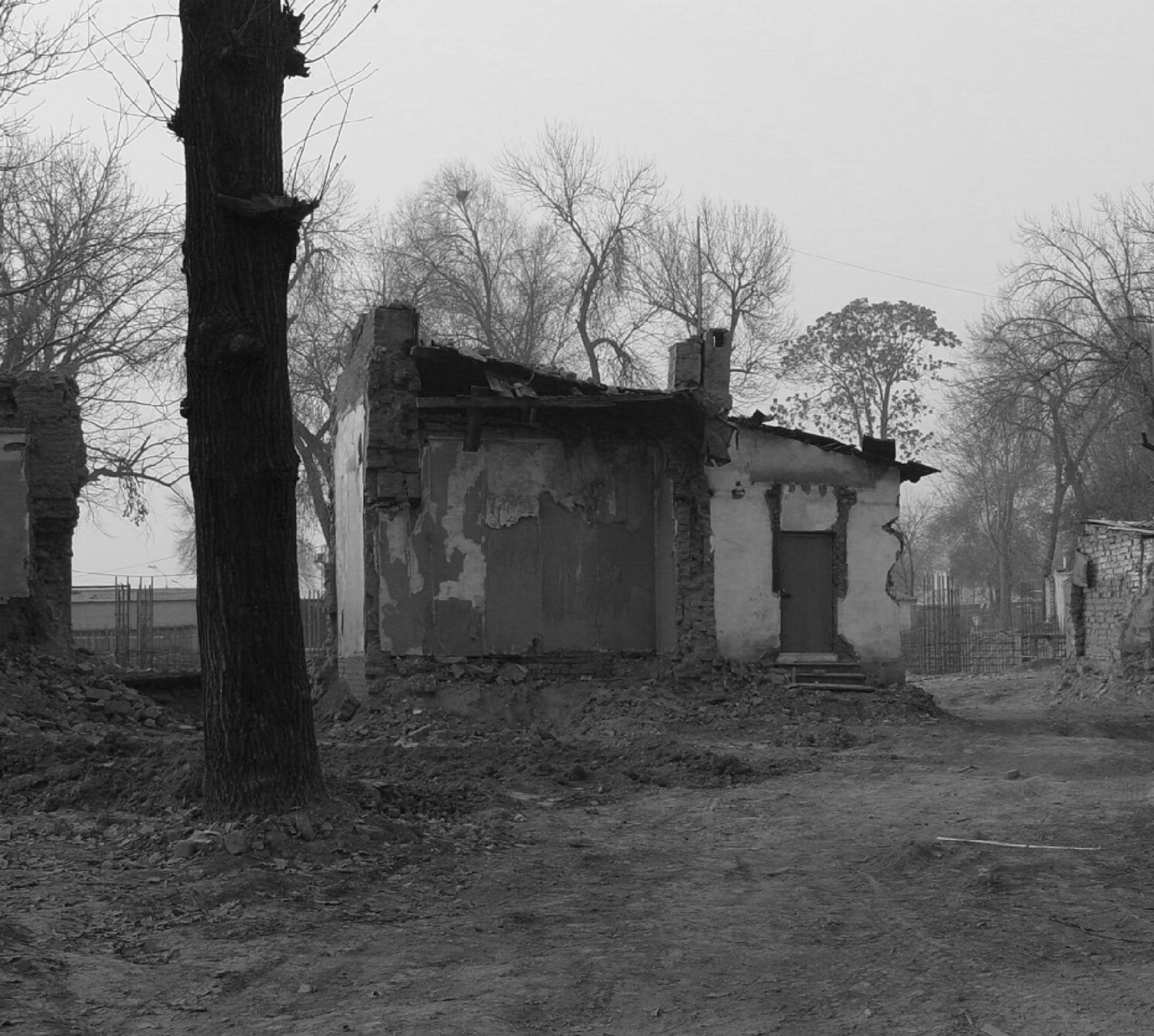 Photo #14082635