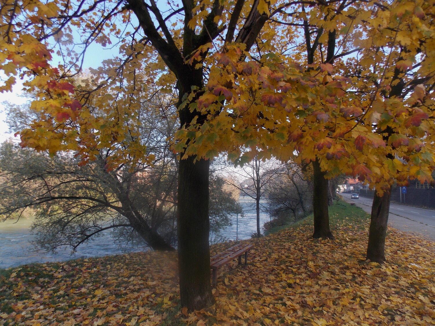 Photo #14082724