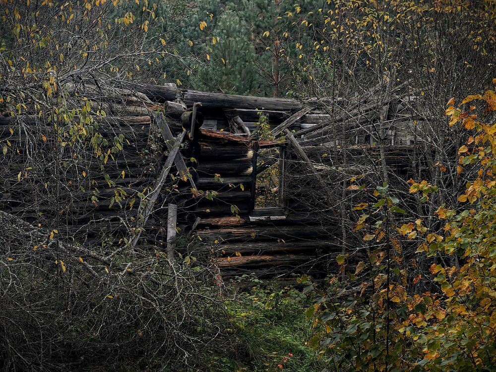 Photograph by Наталья Ионова