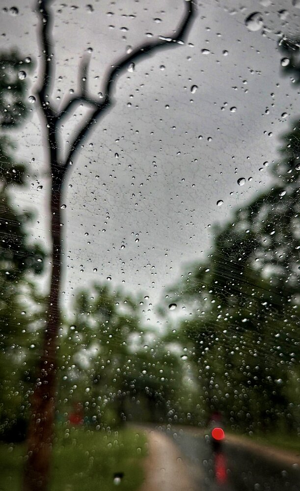 Photograph by Avigyan