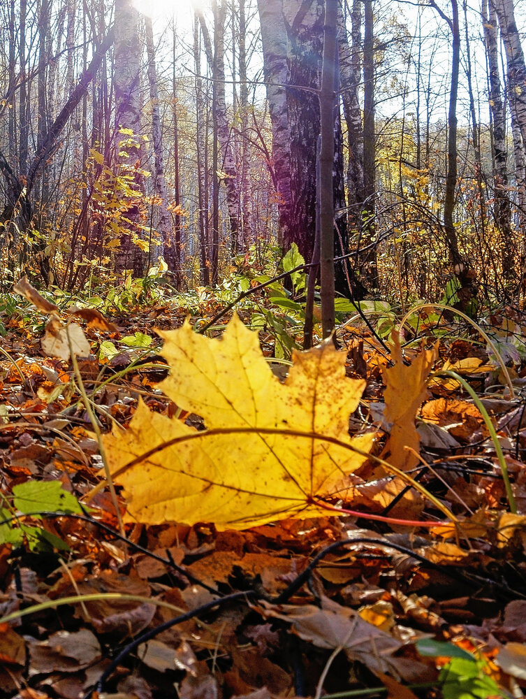 Photograph by Светлана Иванова