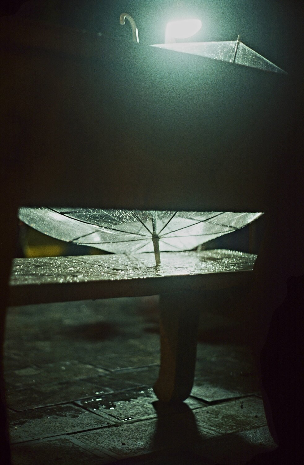 Photo #14082849