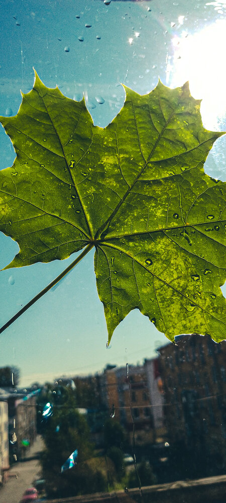 Photograph by Dark Phoenix