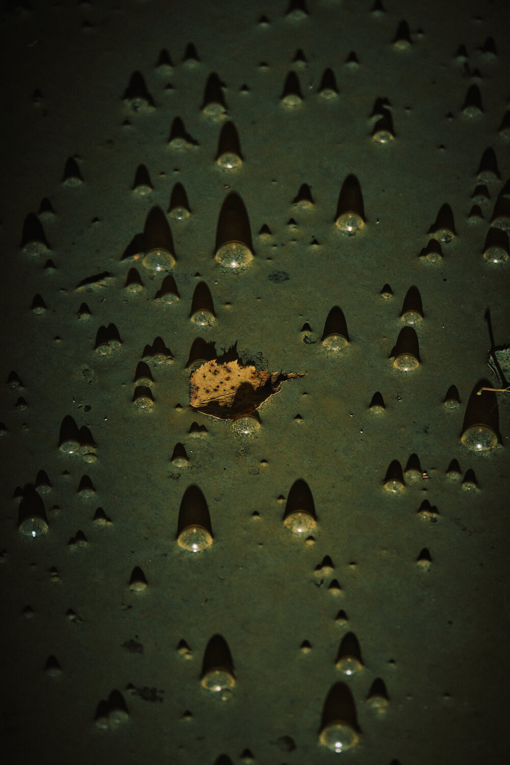 Photo #14082976